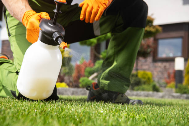 Professional Pest Control in San Fernando, CA