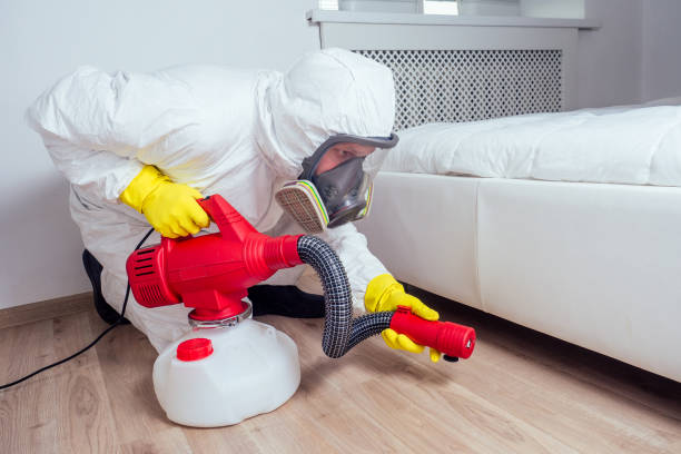 Best Pest Control Near Me  in San Fernando, CA
